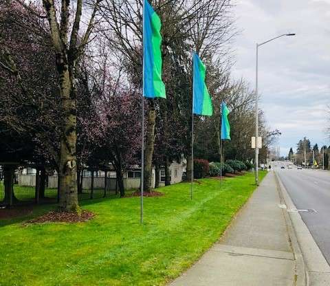 Meridian Green – New Flags